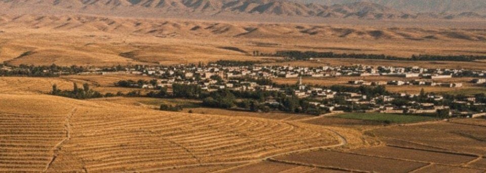 انابد