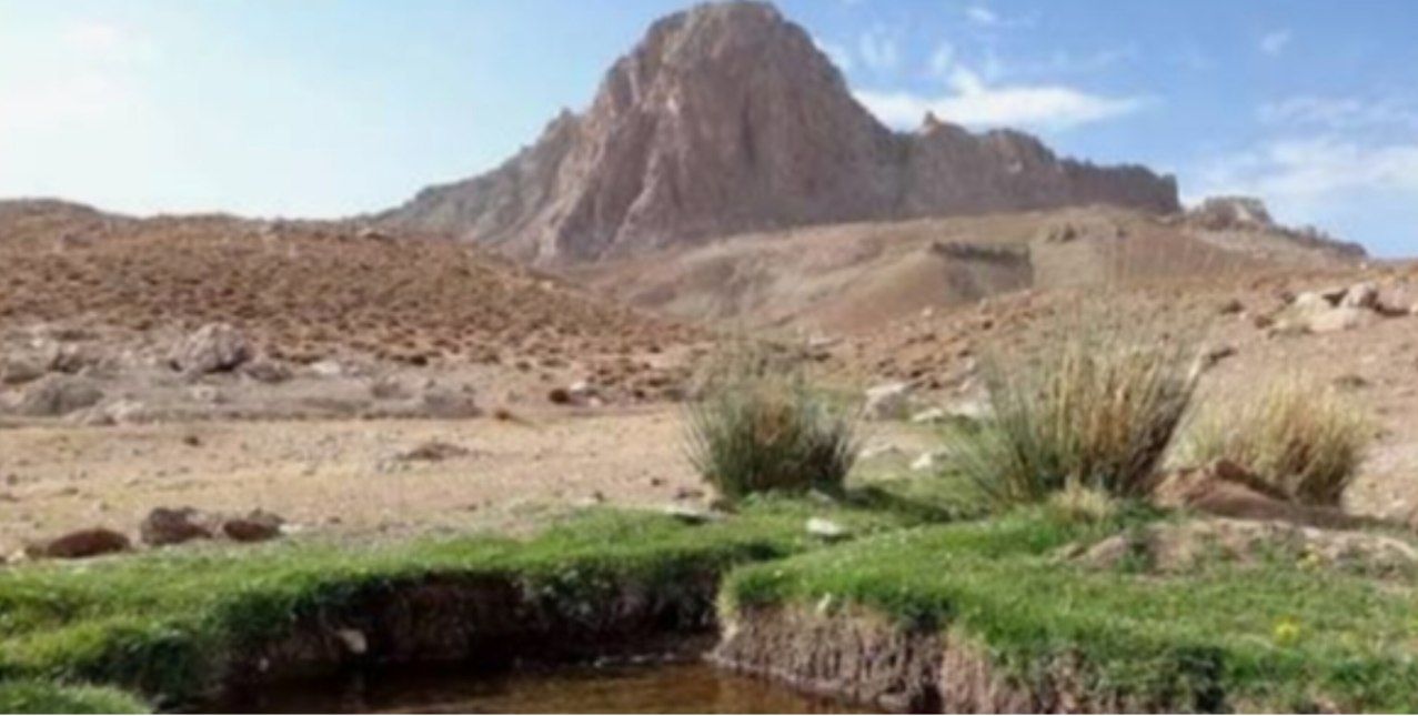 کدکن