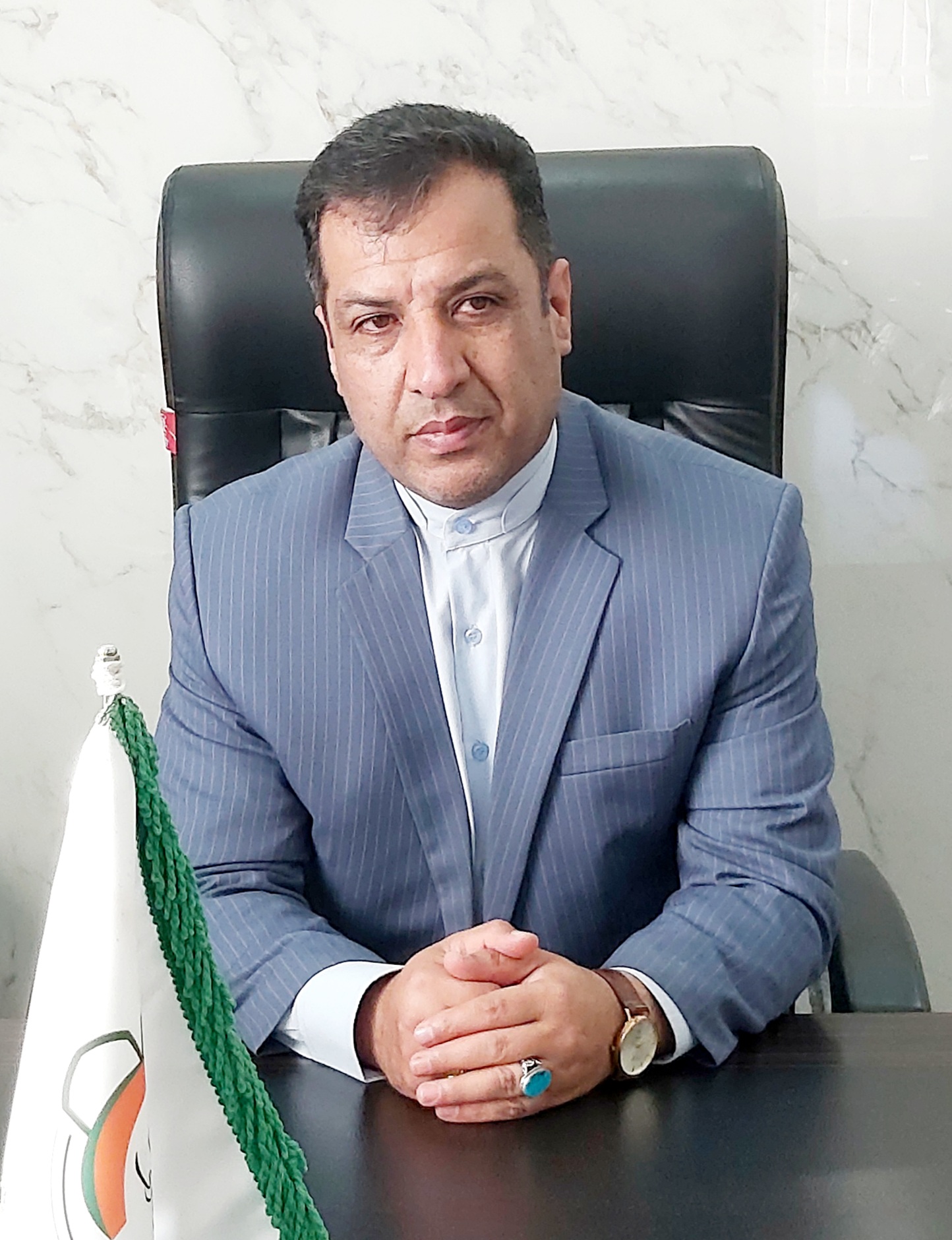 محمدرضا فرزین